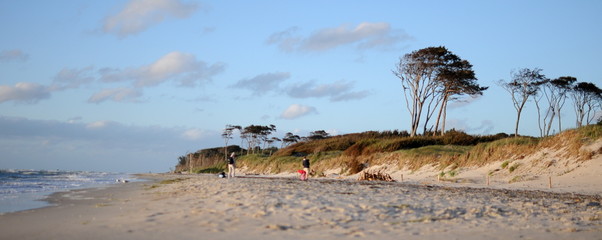 Weststrand auf dem Darß