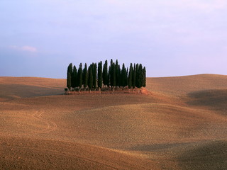 Obraz premium Zypressen auf Ackerlandschaft der Toskana, Italien