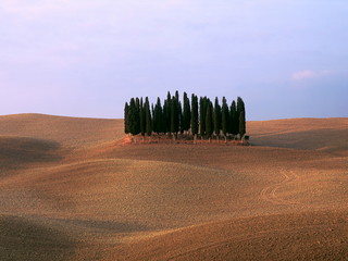 Zypressen auf Ackerlandschaft der Toskana, Italien
