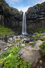 Svartifoss Waterfall, Iceland - 26096637