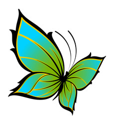 beautiful butterfly for a design