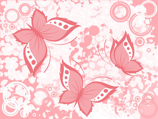 beautiful butterfly for a design