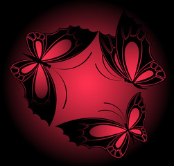 beautiful butterfly for a design