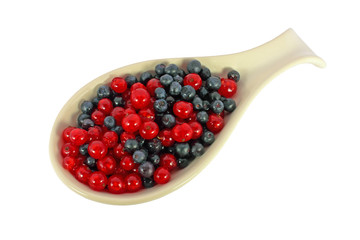 Blueberries and currants
