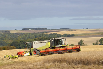 harvest landscape