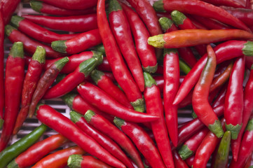 red chilli