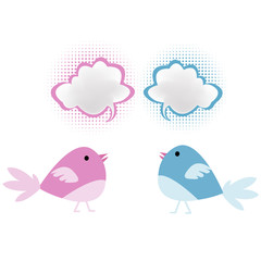 Pink and blue birds with chat bubbles