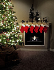 Home for christmas