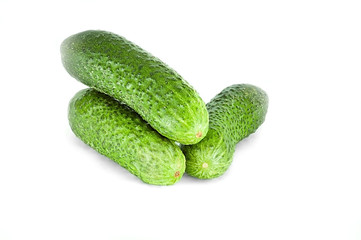 Green isolated cucumbers