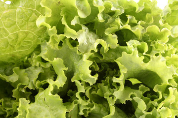 Green salad background