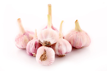 Garlic isolated on white