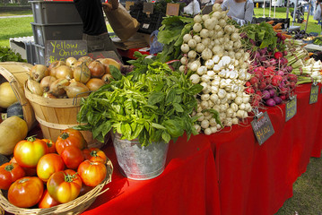 Colorful Display of Organic Produce at Farmers Market