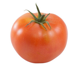 One tomato isolated