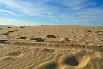 Fototapeta premium Dune