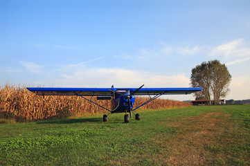 Fototapeta na wymiar Samolot wylądował na polu pszenicy