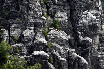 Felsen an der Bastei (Sachsen)