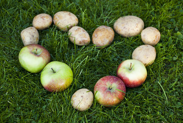 Świeże jabłka i ziemniaki w sercu na trawie