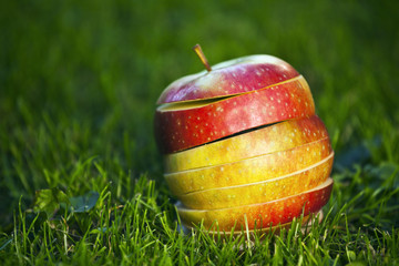 Świeże pokrojone jabłko na trawie