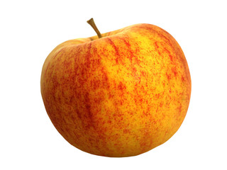 Bioapfel - biological apple