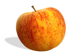 Bioapfel - biological apple