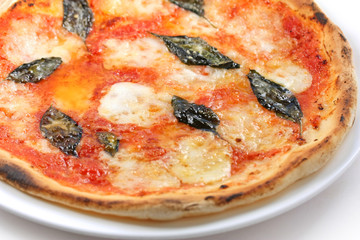 Pizza Margherita