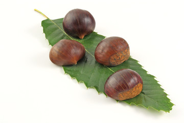 Castagne