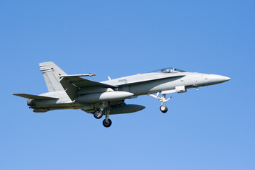 Fototapeta na wymiar F-18 Hornet jet