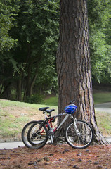 Fototapeta na wymiar Bicylces in Park