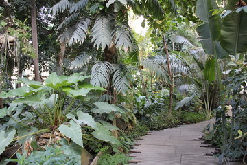 serre tropicale, hothouse 11