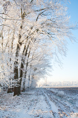 Winter portrait scape
