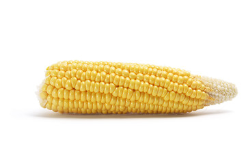 Corn Cob