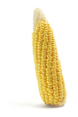 Corn Cob