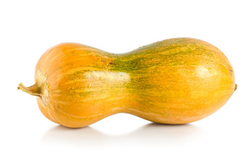 Yellow squash