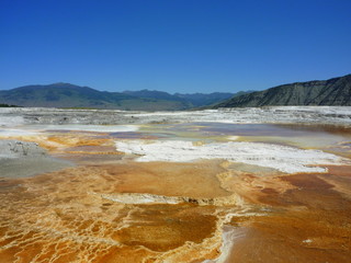 Yellowstone c