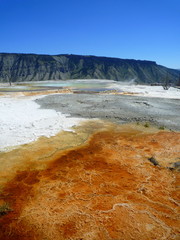 Yellowstone h