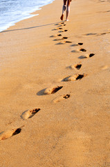 summer on the beach