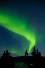 Fototapeta na wymiar Aurora borealis (Northern lights) display