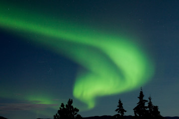 Fototapeta na wymiar Aurora borealis (Zorza polarna) wyświetlacz