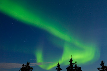 Fototapeta na wymiar Aurora borealis (Zorza polarna) wyświetlacz