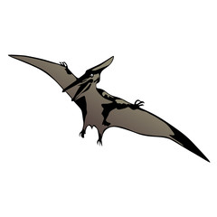 pteranodon vector illustration © Iosif