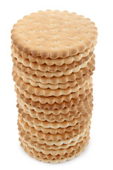 biscuit