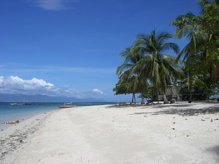 Tropical white sandy beach with palm trees against a blue sky.