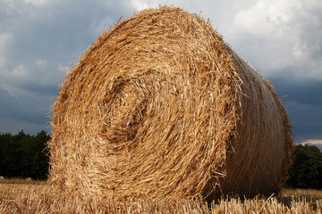 Heuballen