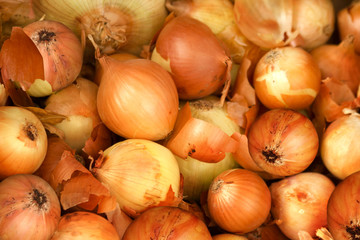 Vegetables  onions  napiform