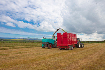 Forage Harvester collecting hay for silage