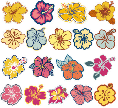 Hibiscus flowers vector icon set