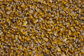 corn texture