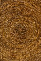 A closeup of a hay bale