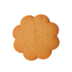 sweet brown cookie isolated on white background