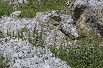 Parque nacional de La Vanoise